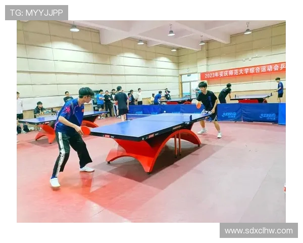 乒乓球运动的技术演变与未来发展趋势探讨及其对全球体育文化的影响